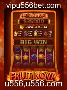FruitNova: Um Mergulho no Universo das Frutas Virtuais